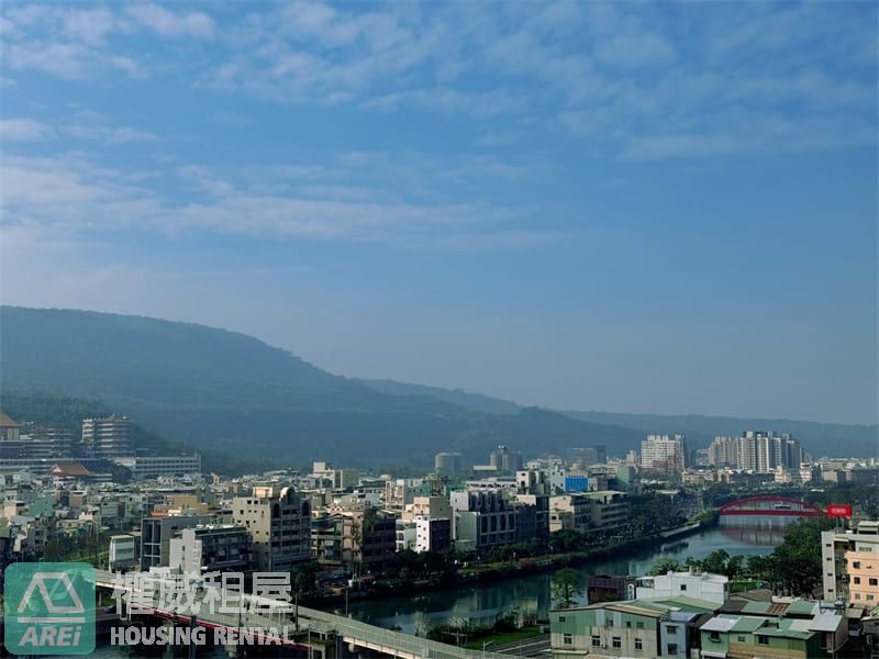 和國泰頤河當鄰居 4房+平車給您甜甜價